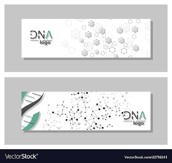 Dna molecule brochure template flyer layout vector image