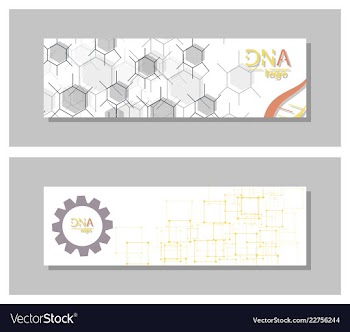 Dna molecule brochure template flyer layout vector image