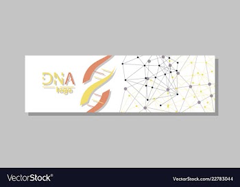 Dna molecule brochure template flyer layout vector image