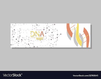 Dna molecule brochure template flyer layout vector image