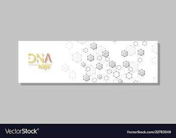 Dna molecule brochure template flyer layout vector image
