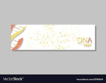 Dna molecule brochure template flyer layout vector image
