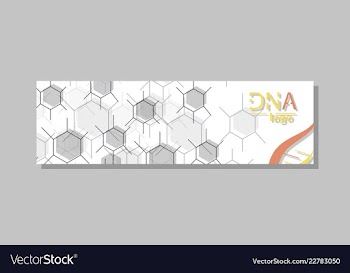 Dna molecule brochure template flyer layout vector image