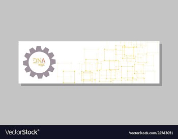 Dna molecule brochure template flyer layout vector image