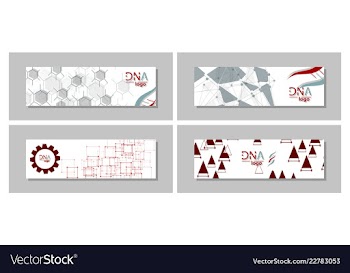 Dna molecule brochure template flyer layout vector image