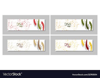 Dna molecule brochure template flyer layout vector image