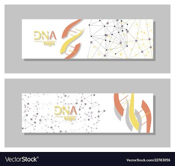 Dna molecule brochure template flyer layout vector image