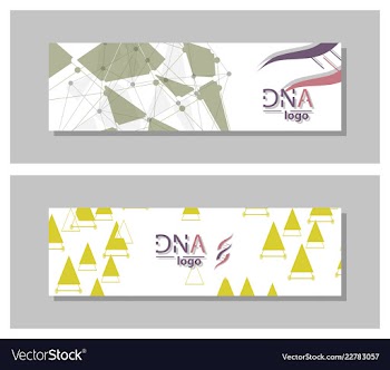 Dna molecule brochure template flyer layout vector image