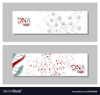 Dna molecule brochure template flyer layout vector image