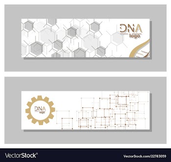 Dna molecule brochure template flyer layout vector image