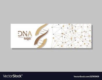 Dna molecule brochure template flyer layout vector image