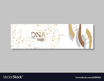 Dna molecule brochure template flyer layout vector image