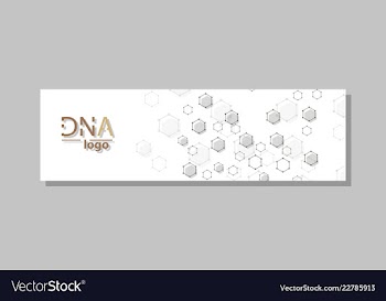 Dna molecule brochure template flyer layout vector image