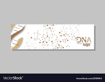 Dna molecule brochure template flyer layout vector image