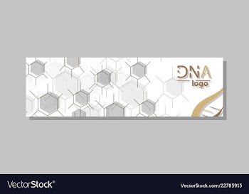 Dna molecule brochure template flyer layout vector image