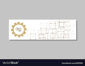 Dna molecule brochure template flyer layout vector image
