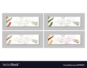 Dna molecule brochure template flyer layout vector image