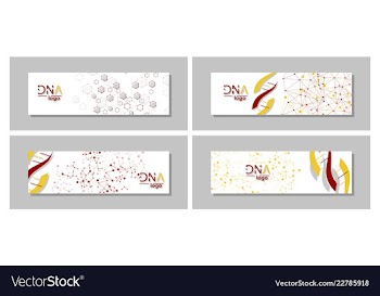 Dna molecule brochure template flyer layout vector image