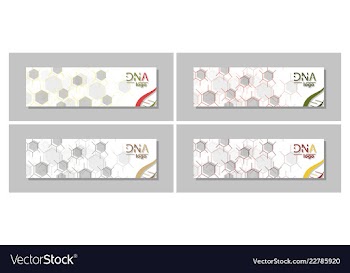 Dna molecule brochure template flyer layout vector image