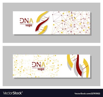 Dna molecule brochure template flyer layout vector image