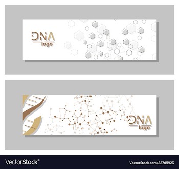 Dna molecule brochure template flyer layout vector image