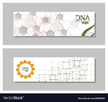 Dna molecule brochure template flyer layout vector image