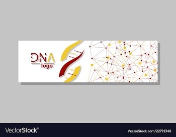 Dna molecule brochure template flyer layout vector image