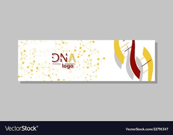 Dna molecule brochure template flyer layout vector image