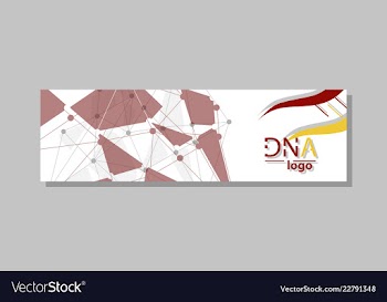 Dna molecule brochure template flyer layout vector image