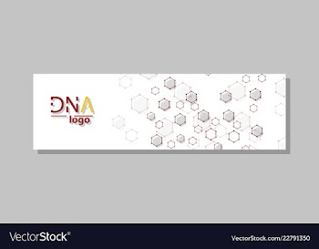 Dna molecule brochure template flyer layout vector image