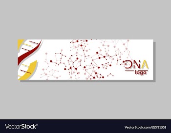 Dna molecule brochure template flyer layout vector image