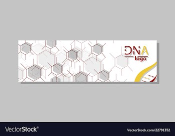Dna molecule brochure template flyer layout vector image