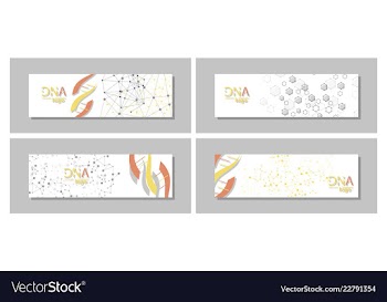 Dna molecule brochure template flyer layout vector image