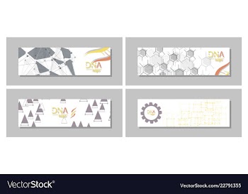 Dna molecule brochure template flyer layout vector image