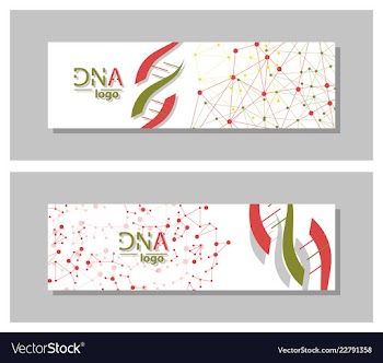 Dna molecule brochure template flyer layout vector image