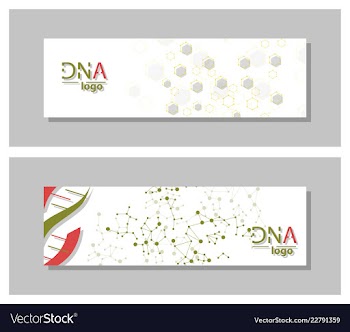 Dna molecule brochure template flyer layout vector image