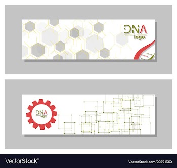 Dna molecule brochure template flyer layout vector image