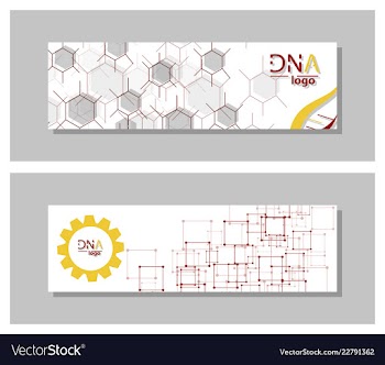 Dna molecule brochure template flyer layout vector image