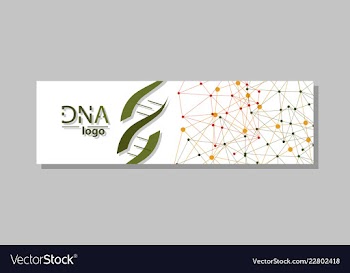 Dna molecule brochure template flyer layout vector image