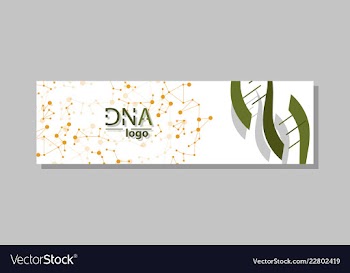 Dna molecule brochure template flyer layout vector image