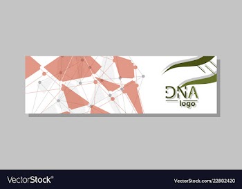 Dna molecule brochure template flyer layout vector image