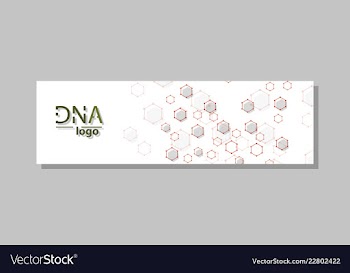 Dna molecule brochure template flyer layout vector image