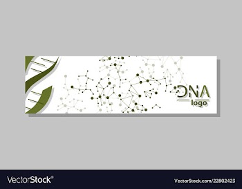 Dna molecule brochure template flyer layout vector image