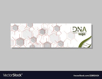 Dna molecule brochure template flyer layout vector image
