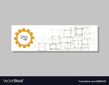 Dna molecule brochure template flyer layout vector image