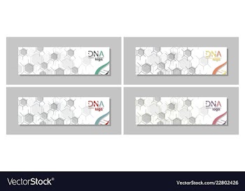 Dna molecule brochure template flyer layout vector image