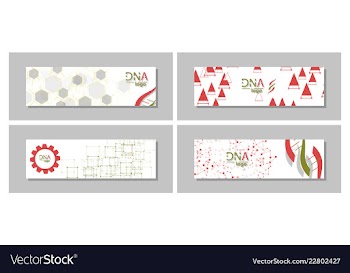 Dna molecule brochure template flyer layout vector image