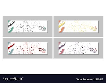 Dna molecule brochure template flyer layout vector image