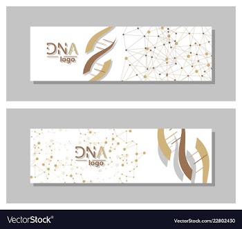Dna molecule brochure template flyer layout vector image