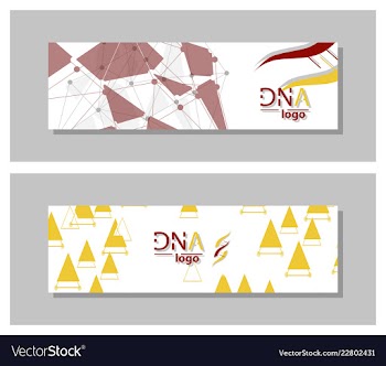 Dna molecule brochure template flyer layout vector image